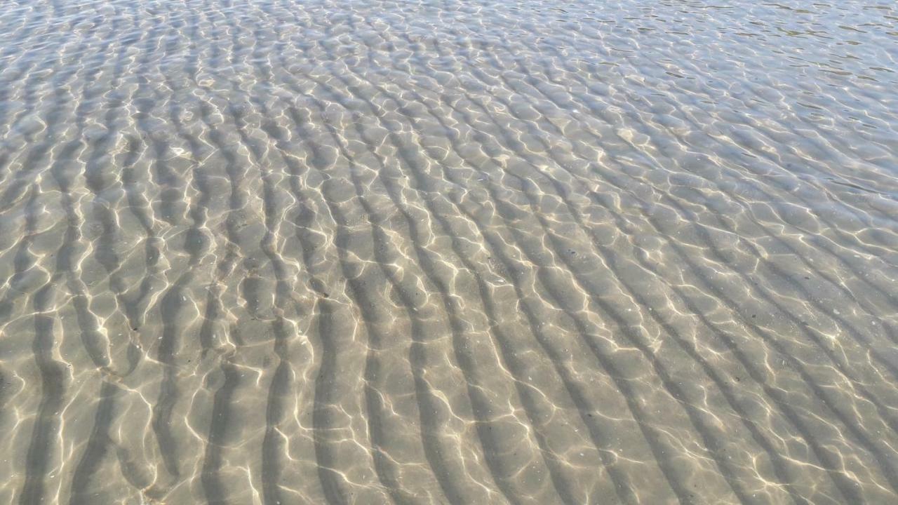 Ankerplatz Am Suedstrand, Fewo Mit 2 Schlafzimmer Und Eigenen Strandkorb 宾茨 外观 照片